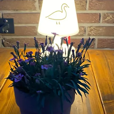 Jagdschlosschen 3* Ascheberg (North Rhine-Westphalia)