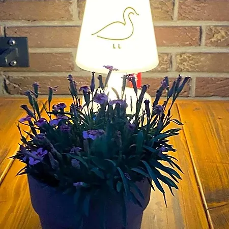 호텔 Jagdschloesschen 아셰베르크