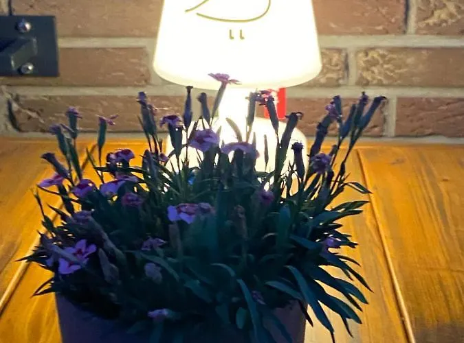 Jagdschloesschen 3* Ascheberg (North Rhine-Westphalia)